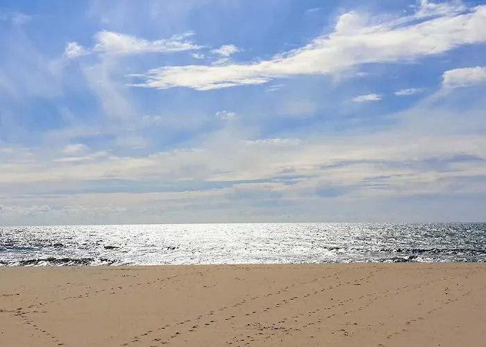 The Shore @ Atlantic - Waterfront House, Tiny Pool, Terrasse Casa vacanze Espinho (Aveiro)
